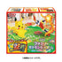 Pokemon Family Card Game Set big
